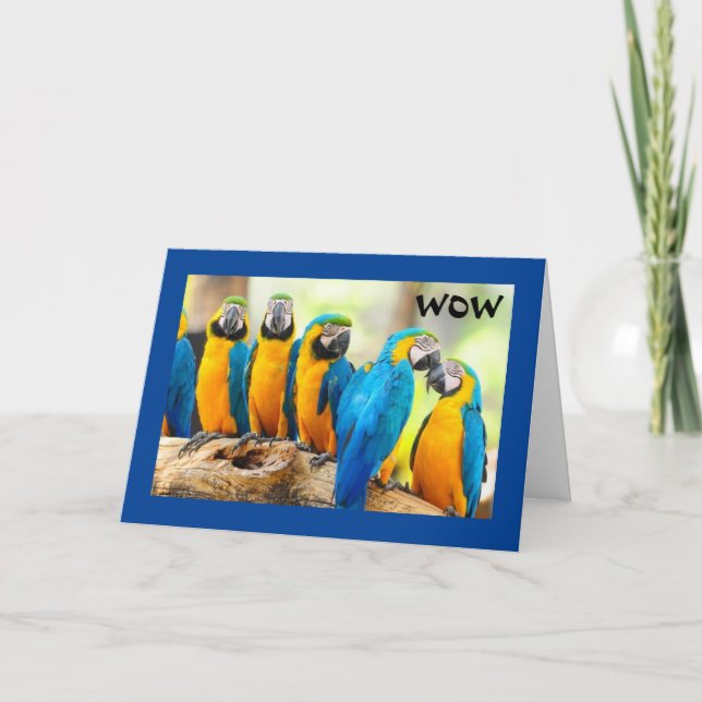 WOW—"21"-WIE COOL IST DAS! KARTE (Vorderseite)