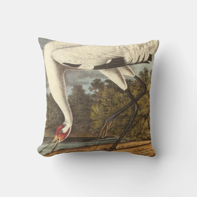 Wow Crane von Audubon Kissen (Vorderseite)