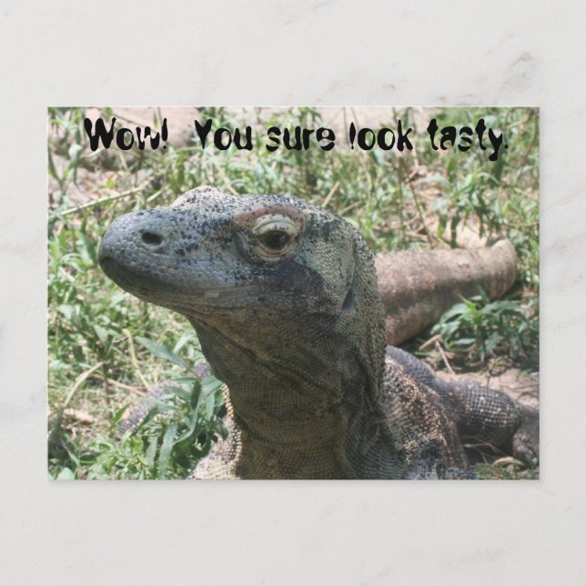 Wow! Du siehst wirklich lecker aus. Postkarte (Vorderseite)