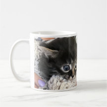 Wow, ich bewundere dich! Katzen-Kaffeetasse