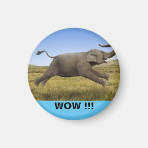 WOW Magnet