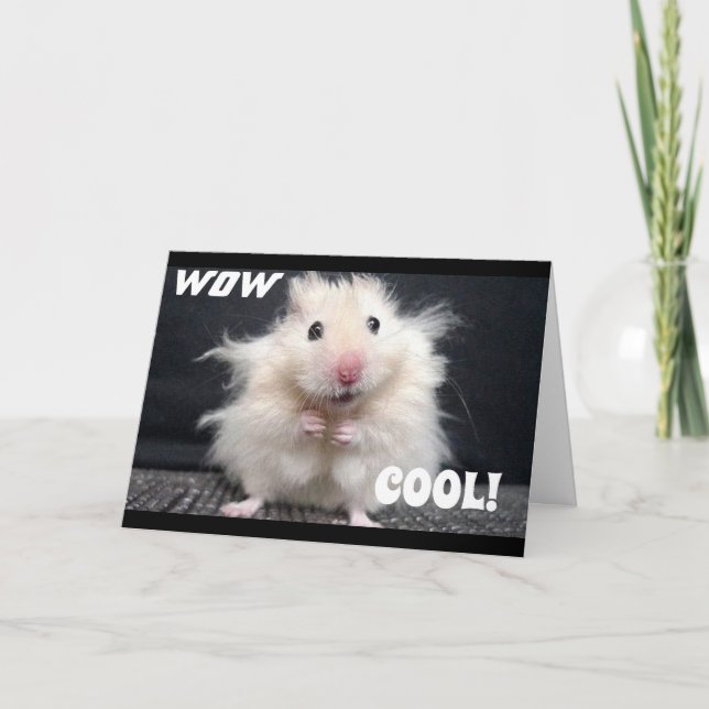 WOW YOU ARE **50** DIT CARTE COOL HAMSTER (Devant)