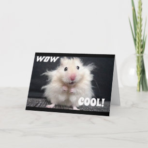 WOW YOU ARE **60** DIT CARTE COOL HAMSTER
