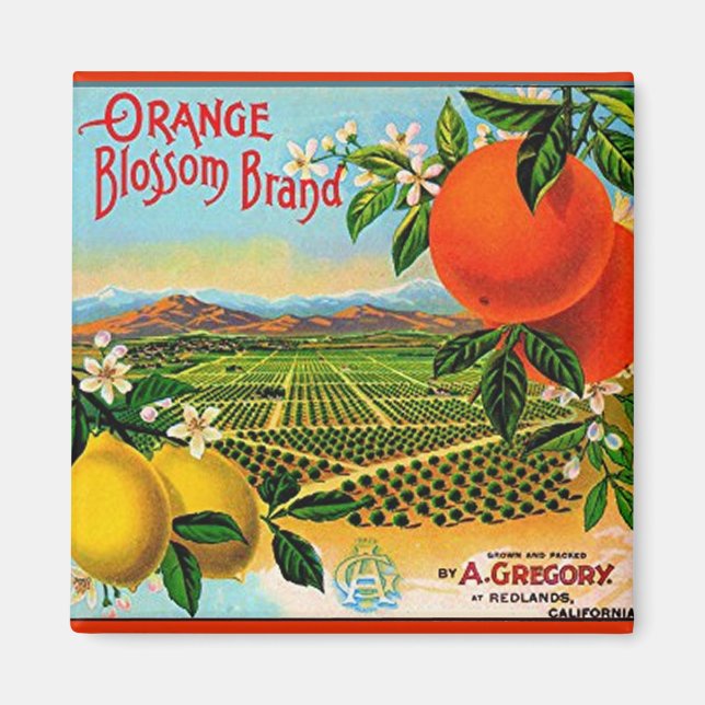 WQ MAGNET: Orangefarbenes Blossom-Kratetikett Magnet (Vorne)