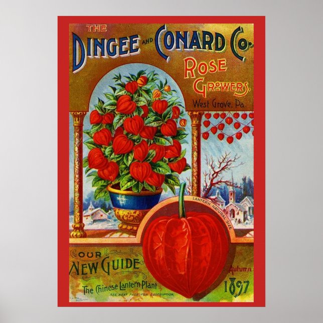 WQ POSTER: Chinesische Laterne Poster (Vorne)