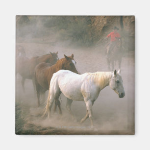 Wrangler mit Pferden Magnet