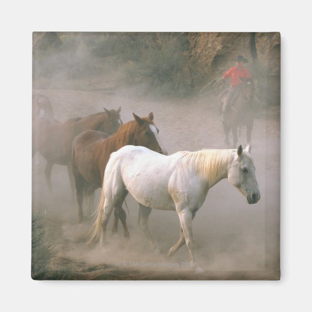 Wrangler mit Pferden Magnet (Vorne)