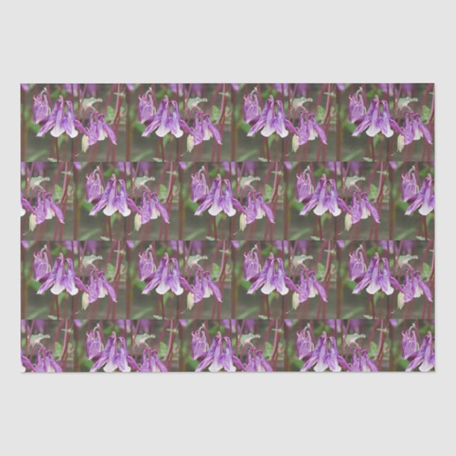 Wrapping Paper für lila Aquilegia-Blume Seidenpapier (Vorderseite)