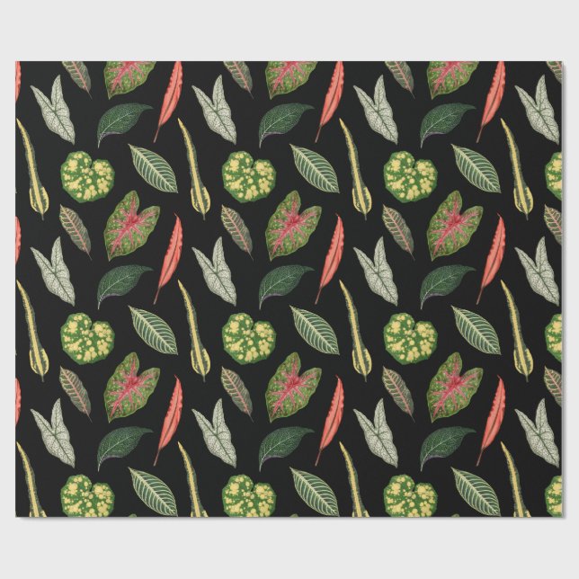 Wrapping Paper Geschenkpapier (Flach)