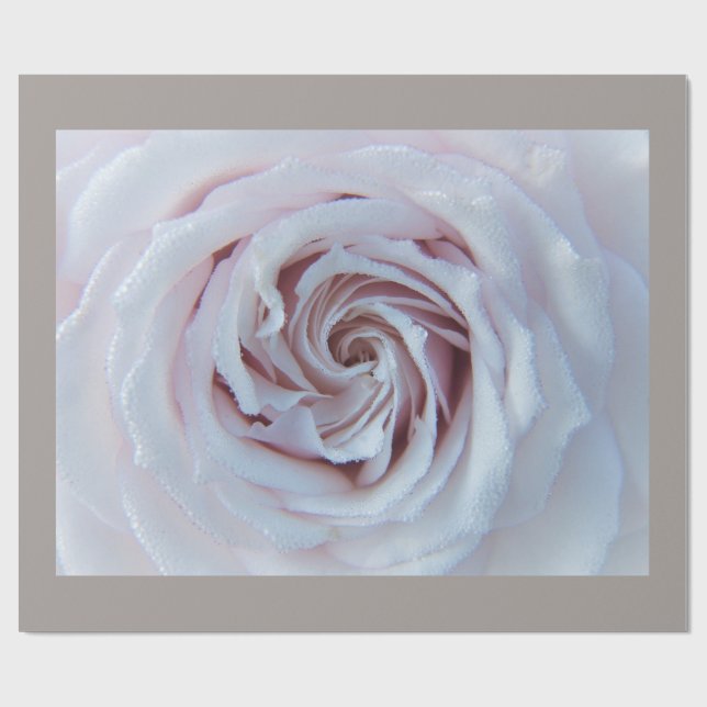 Wrapping Paper von White Rose Valentine Geschenkpapier (Flach)