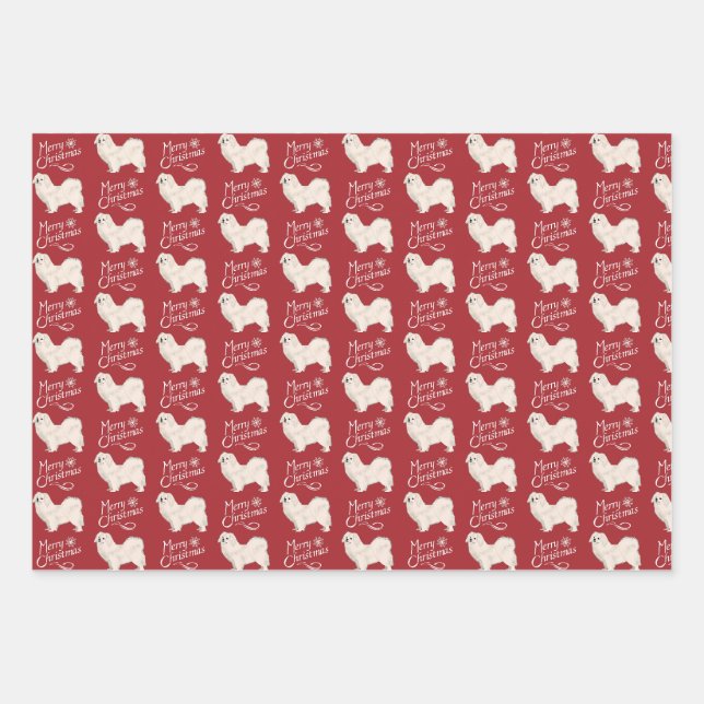 Wrapping Paper White Tibetan Spaniel Geschenkpapier Set (Vorderseite)