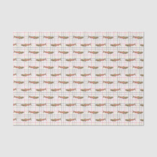 Wrapping Tissue - Chinook-Salmonellen auf Karierte Seidenpapier