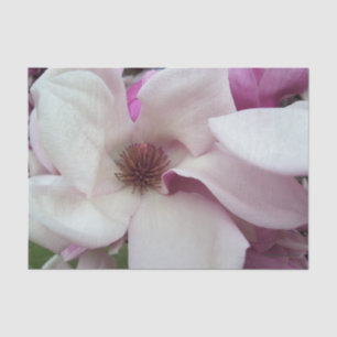 Wrapping Tissue - Saucer Magnolia Bloom Seidenpapier