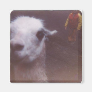 Wrecked 'Um Llama Magnet