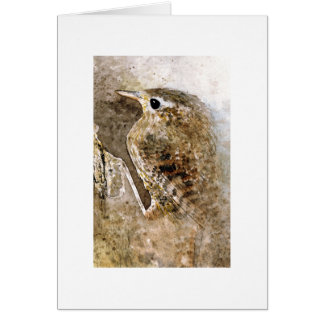 Wren