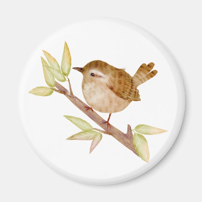 Wren Bird Magnets Magnet (Vorne)