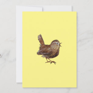 Wren Bird (Troglodytes Troglodytes) Einladung