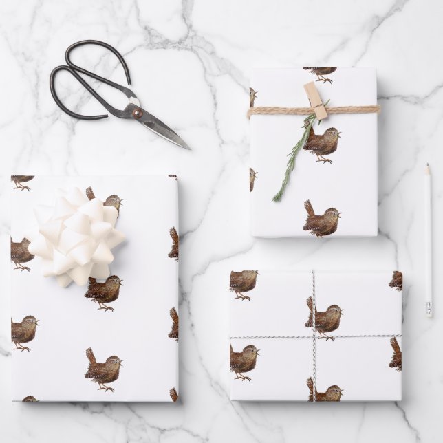Wren Bird (Troglodytes Troglodytes) Geschenkpapier Set (Vorderseite)