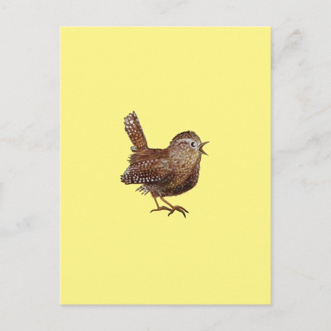 Wren Bird (Troglodytes Troglodytes) Postkarte (Vorderseite)