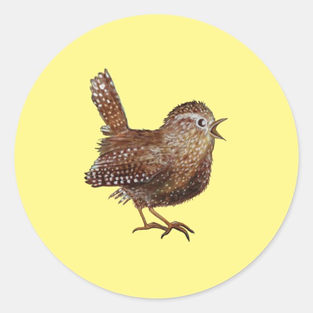 Wren Bird (Troglodytes Troglodytes) Runder Aufkleber (Vorderseite)