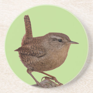 Wren Getränkeuntersetzer