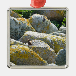 Wren Ornament Aus Metall