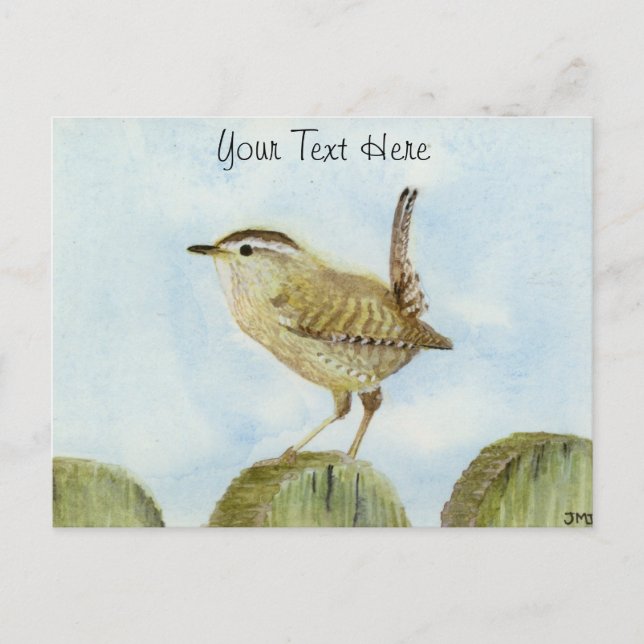 Wren Postkarte (Vorderseite)