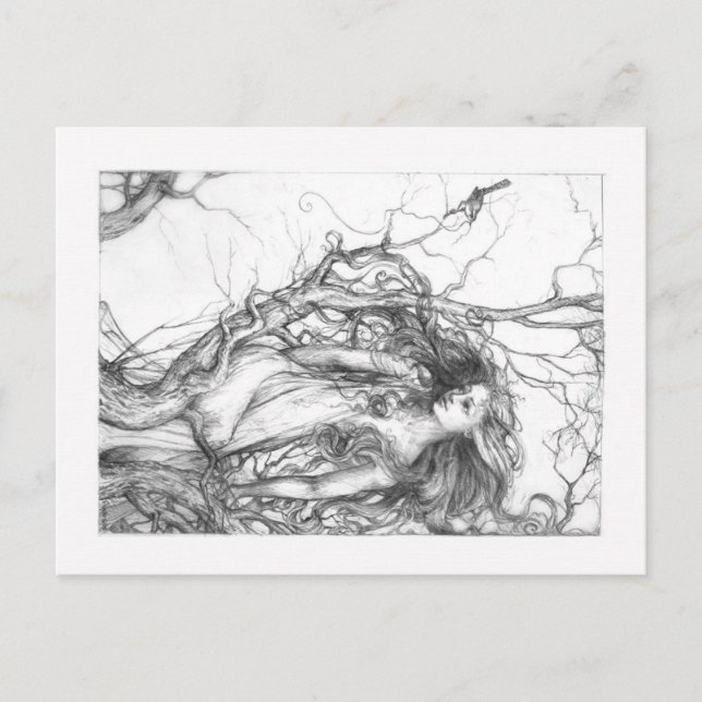 Wren Postkarte (Vorderseite)