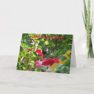 Wren & Rose, Geburtstag Karte