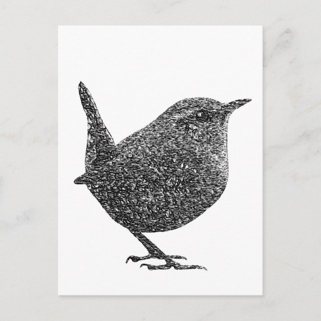 Wren (Schwarz und Weiß) Postkarte (Vorderseite)