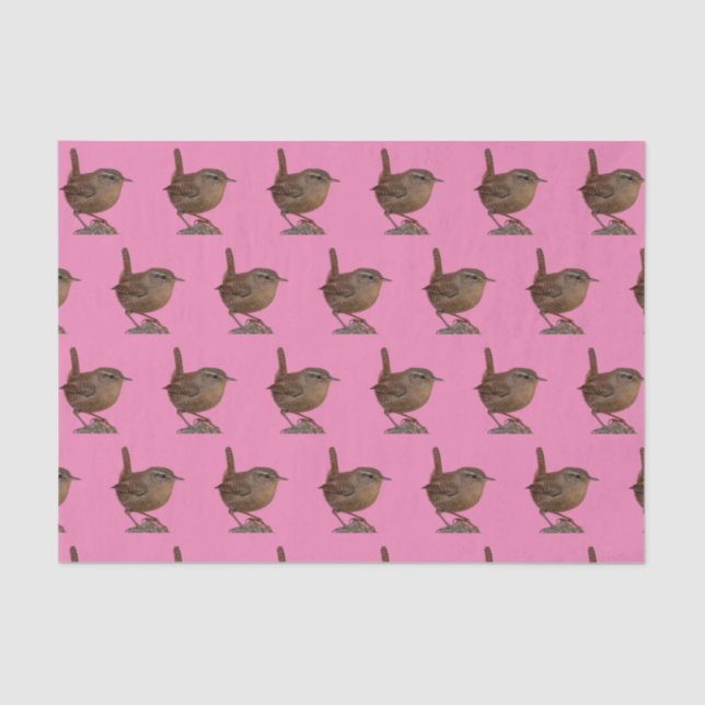 Wren Seidenpapier (Vorderseite)