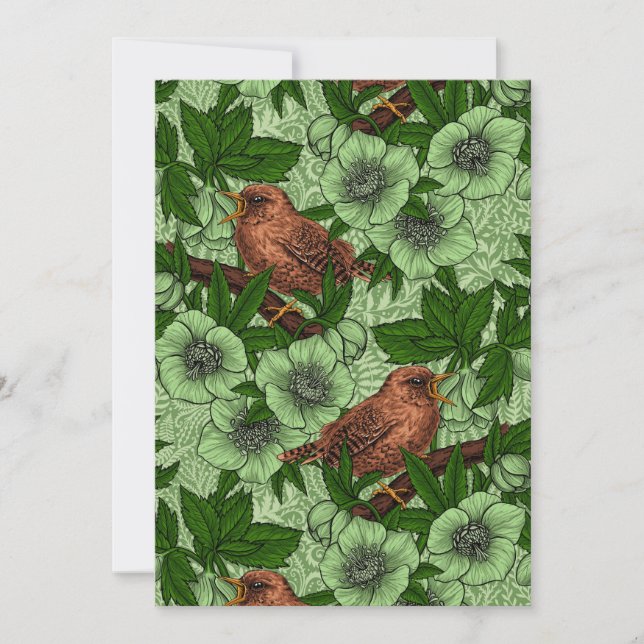 Wren und Hellebore, hellgrün (Vorderseite)