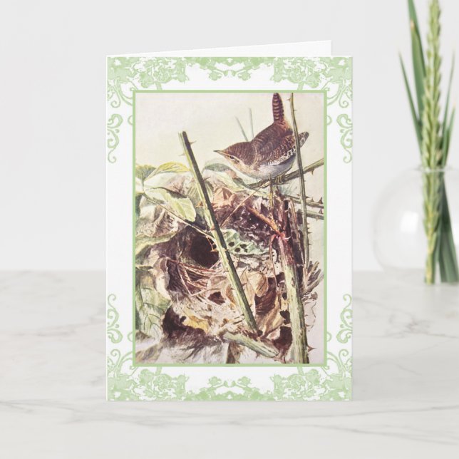 Wren Vintage Geburtstagskarte Karte (Vorderseite)