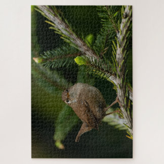 Wren (Winterkoninkje)