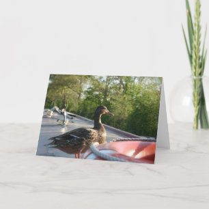 Wrenbury Duck Llangollen Canal Notecard Karte