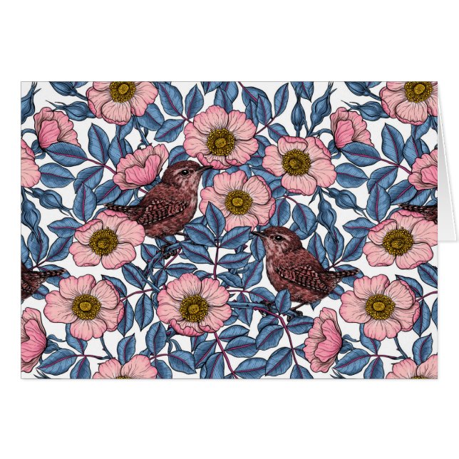 Wrens en rose (Devant horizontal)