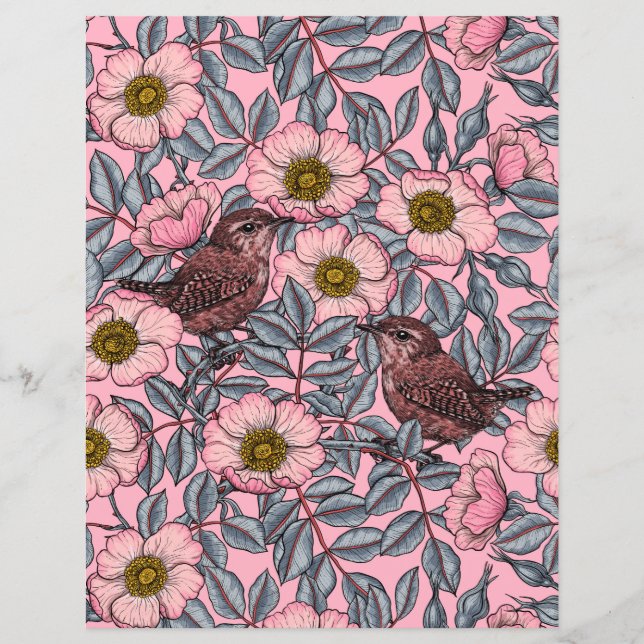 Wrens in den Rose (Vorderseite)