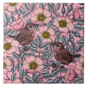 Wrens in den Rose Fliese