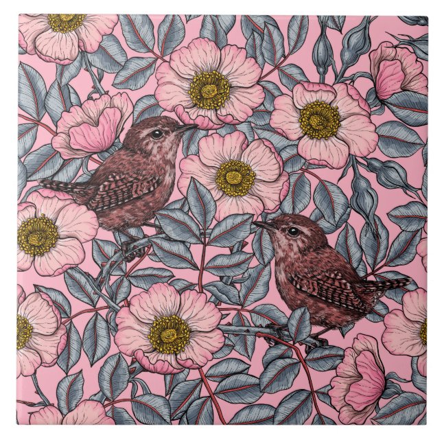 Wrens in den Rose Fliese (Vorderseite)