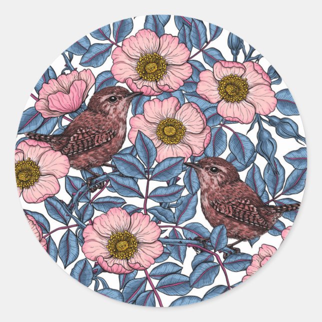 Wrens in den Rose Runder Aufkleber (Vorderseite)