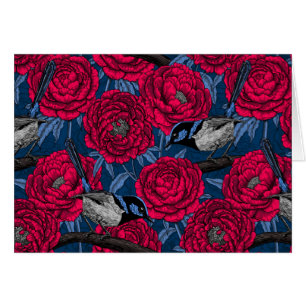 Wrens in den Volkswirtschaften