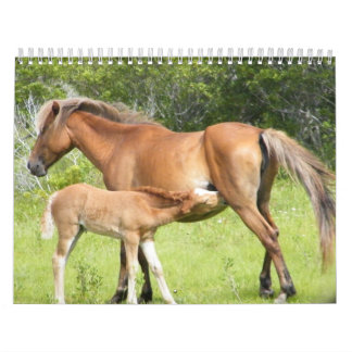 Wright-Korolla 2009-7-23 00118 Kalender