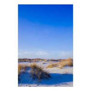 Wrightsville Beach Dunes Poster
