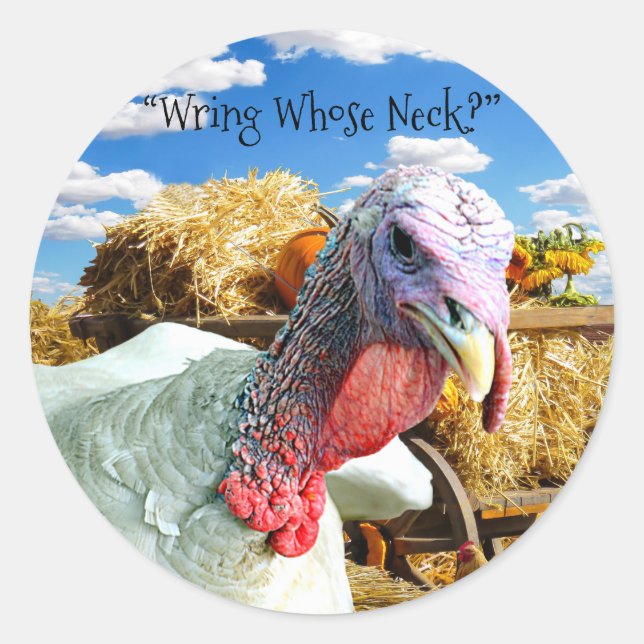 "Wring wessen Neck?" Erntedank Holiday Runder Aufkleber (Vorderseite)