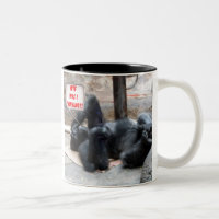 "WTF WAR DENKENDE" - Kater-Tasse I