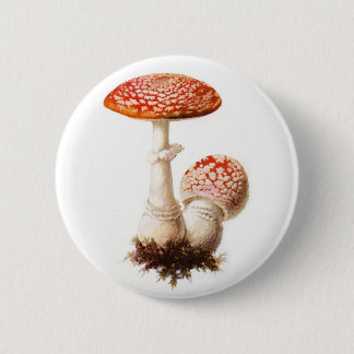 Wulstlings-Pilz-Knopf Button