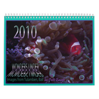 WUNDER DARUNTER KALENDER