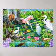 Wunder der Feuchtgebiete