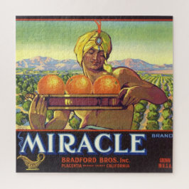 Wunder Genie Illustriert 20x20