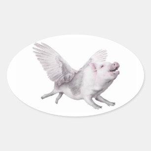 Wunder-Möglichkeits-Freude-Fliegen-Schweine, wenn Ovaler Aufkleber